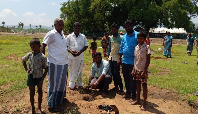 Tree Plantation with the Public